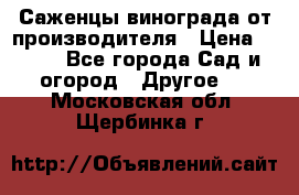 Саженцы винограда от производителя › Цена ­ 800 - Все города Сад и огород » Другое   . Московская обл.,Щербинка г.